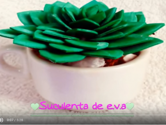 Suculenta de eva passo à passo