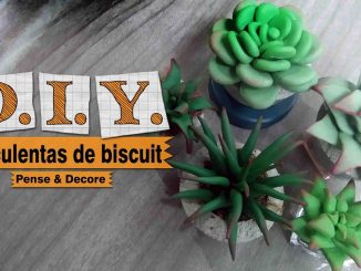 como fazer suculenta de biscuit