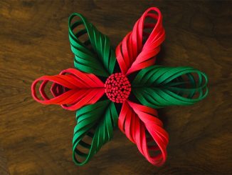 Flor de natal em EVA