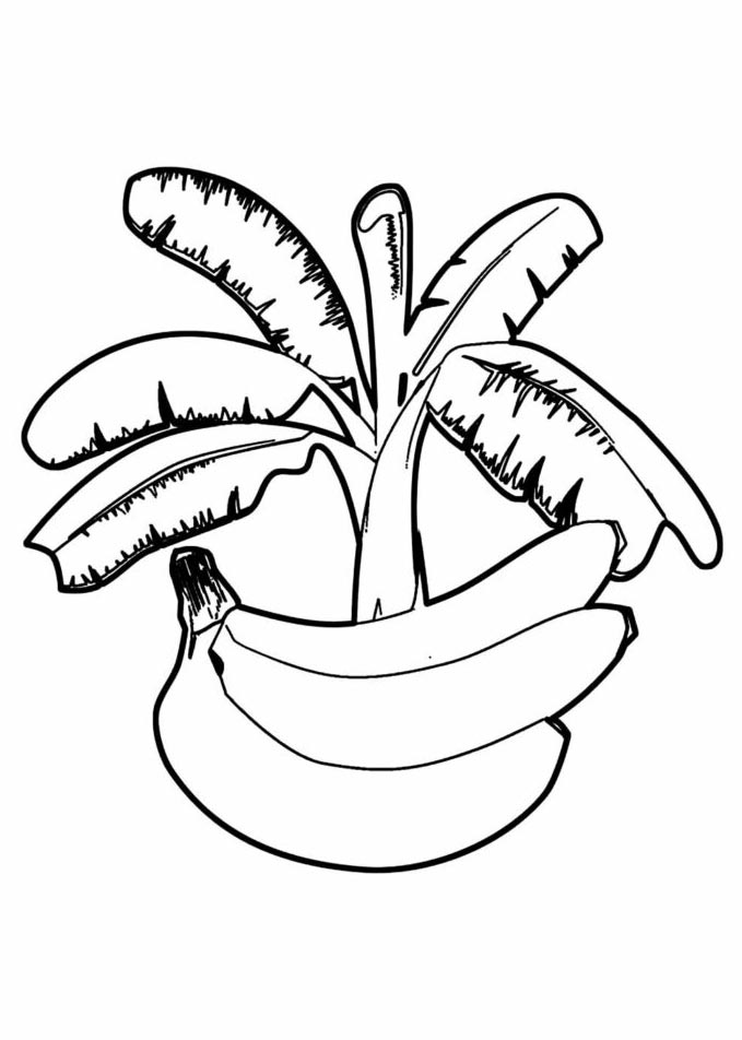 Como desenhar um cacho de Banana ➡️✏️ 