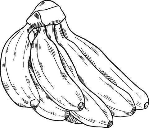 Desenho de Banana solitária para colorir