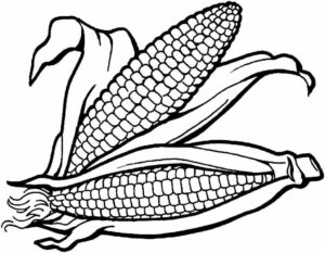 desenho de milho para colorir