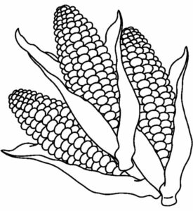 desenho de milho para colorir